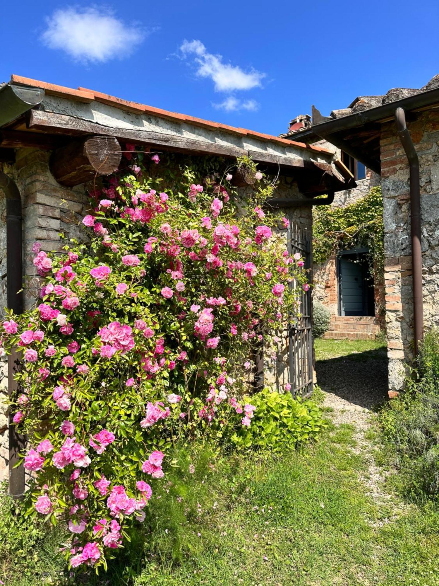 Villa La Palazzina Siena Esterno foto